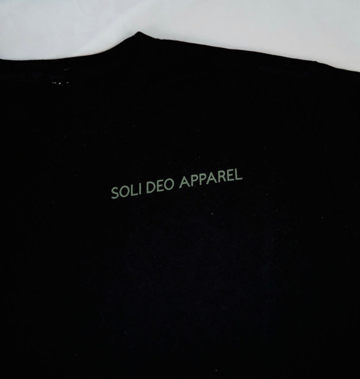 Romans 12:2 Tee (unisex)