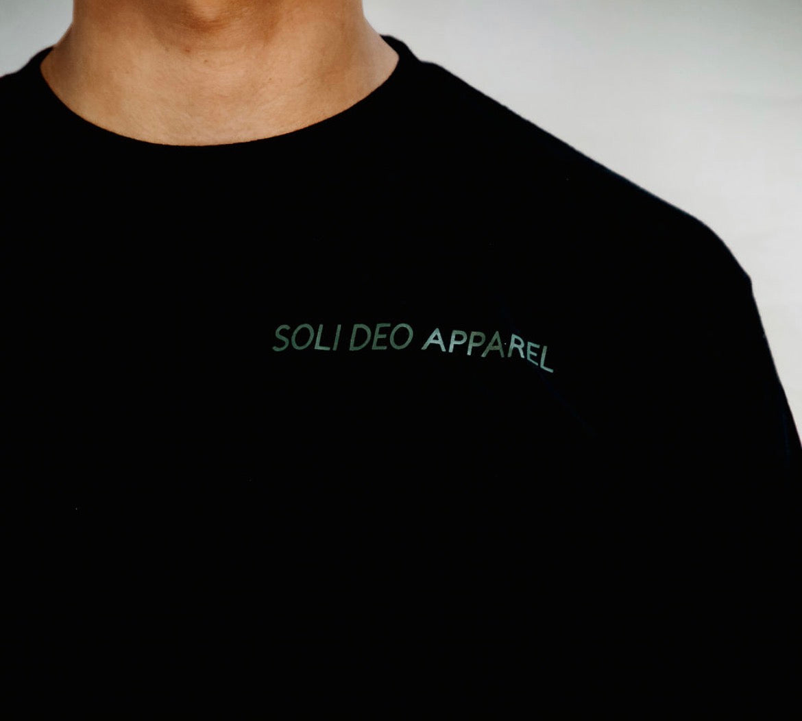 Romans 12:2 Tee (unisex)